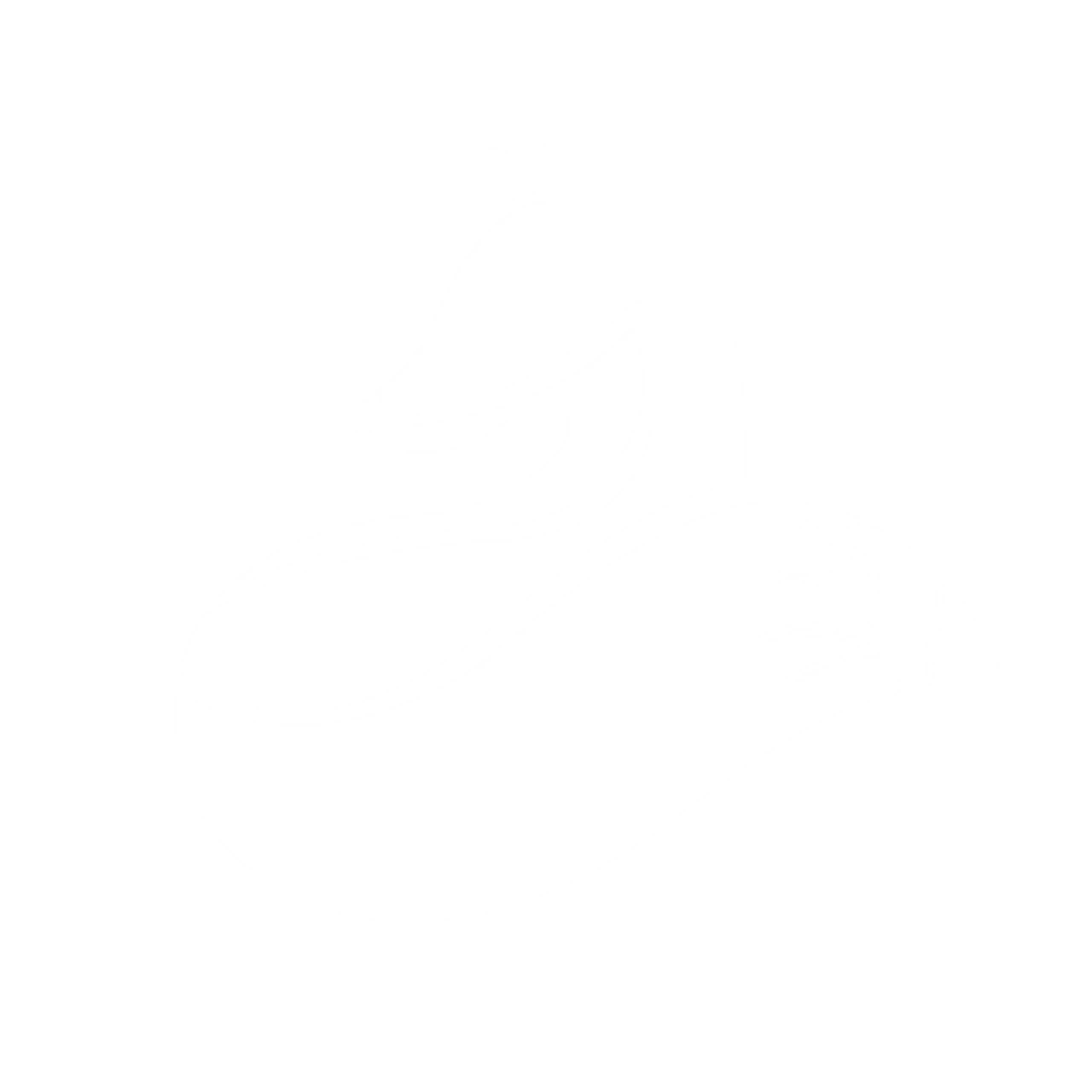 Logo blanc thomas da silva graphiste